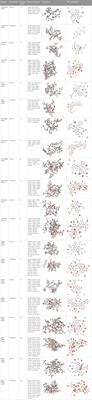 Clinico-genomic findings, molecular docking, and mutational spectrum in an understudied population with breast cancer patients from KP, Pakistan